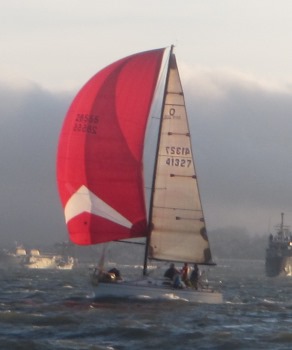 Heart of Gold - 911s