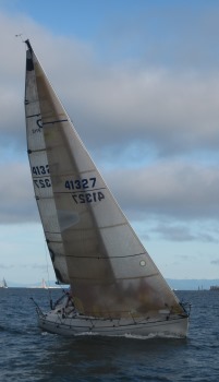 Heart of Gold - 911s